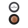 Make-up Studio Rouge Lumiere Bizar Bronze