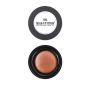 Make-up Studio Rouge Lumiere True Terra